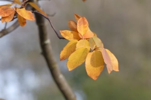 Uskon Yö - teemana SOVINTO Uskon Yö - teemana SOVINTO